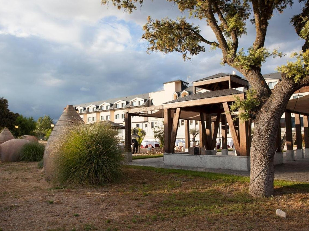 Moralzarzal酒店住宿-Hotel FC Villalba