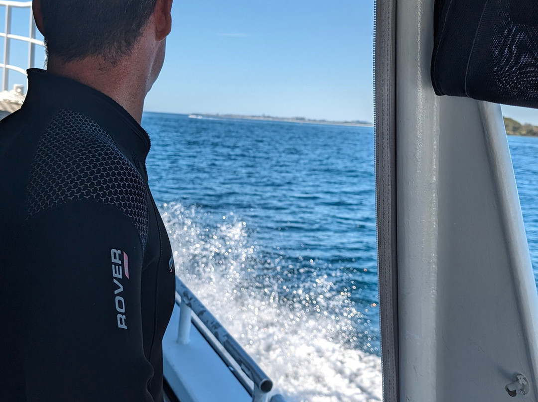 Gold Coast Dive Centre-Miami必去景点