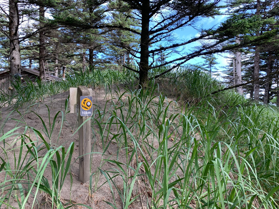 Cape Fife Trail-Masset必去景点