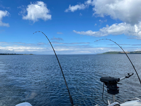 Fish Taupo-陶波必去景点