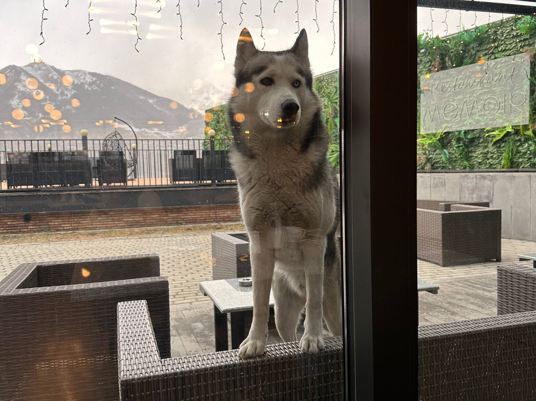 Hotel Memoir Kazbegi by DNT Group主图