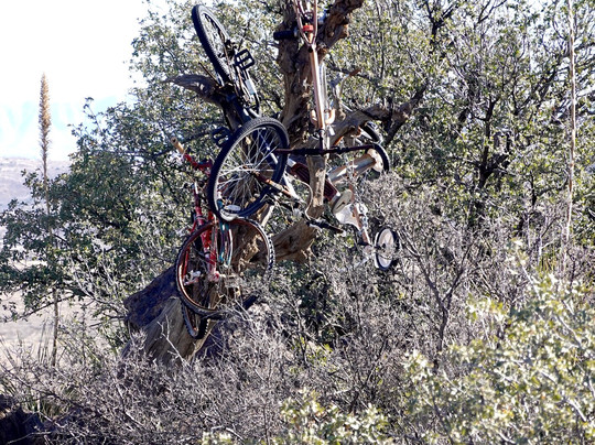The Desk-Alpine必去景点