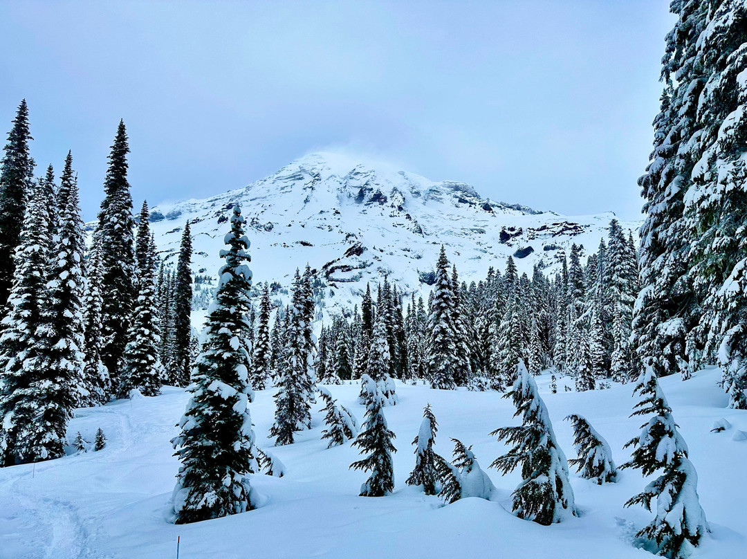 芒特雷尼尔国家公园酒店主图