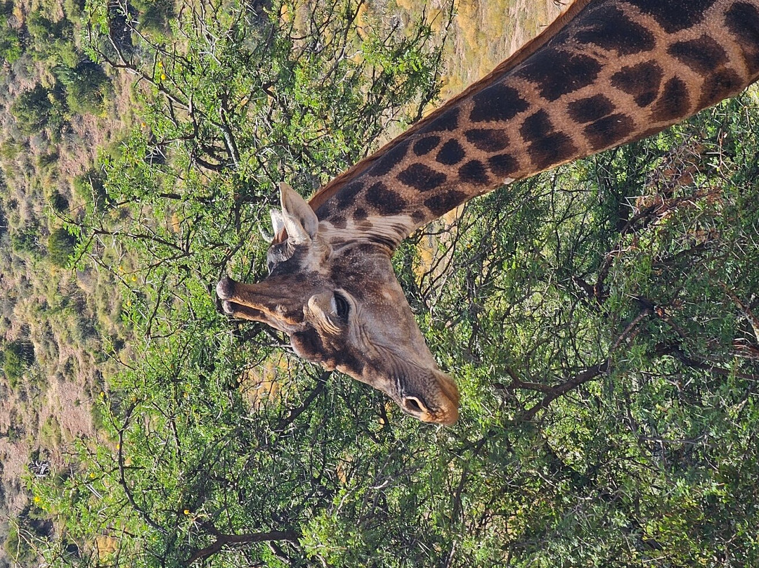 El Dorado Hotel & Self Catering主图