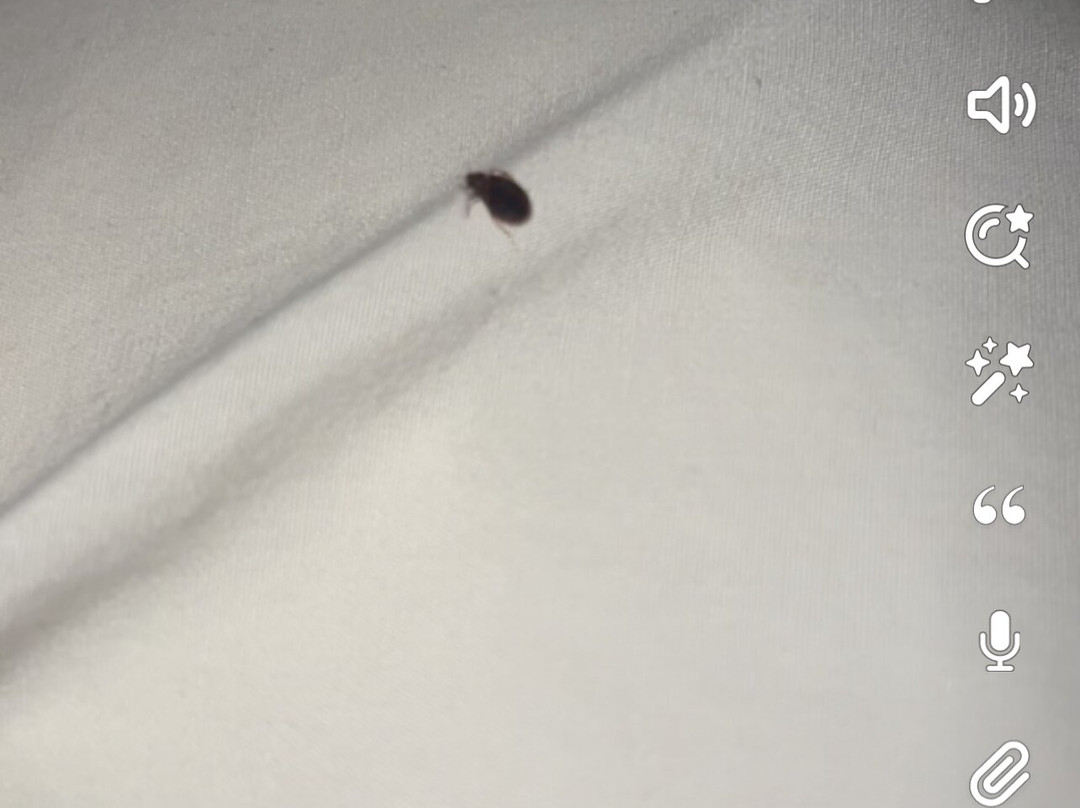 Country Hearth Inn & Suites Edwardsville St. Louis主图