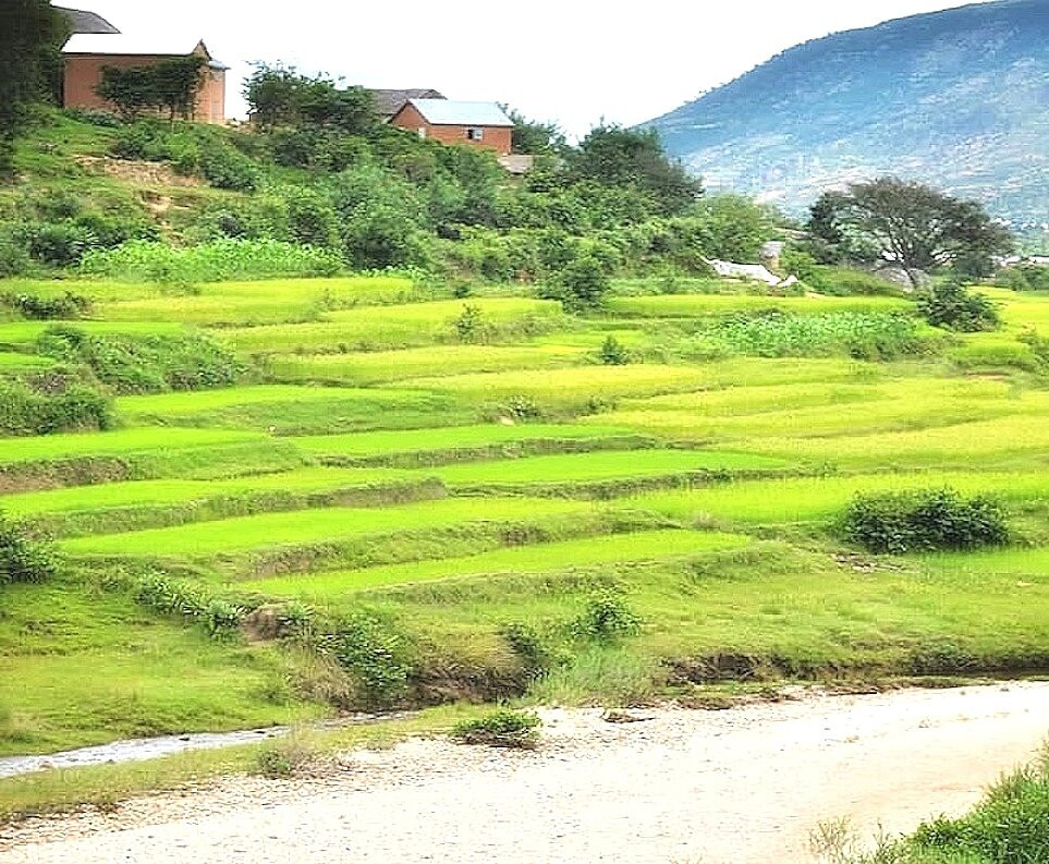 Piscine Naturelle d' Ambodiriana景点图片
