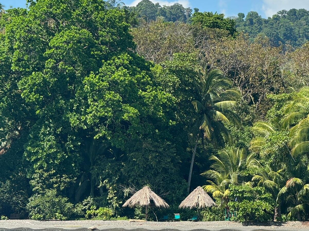 普拉亚尼库伊萨雨林旅馆主图