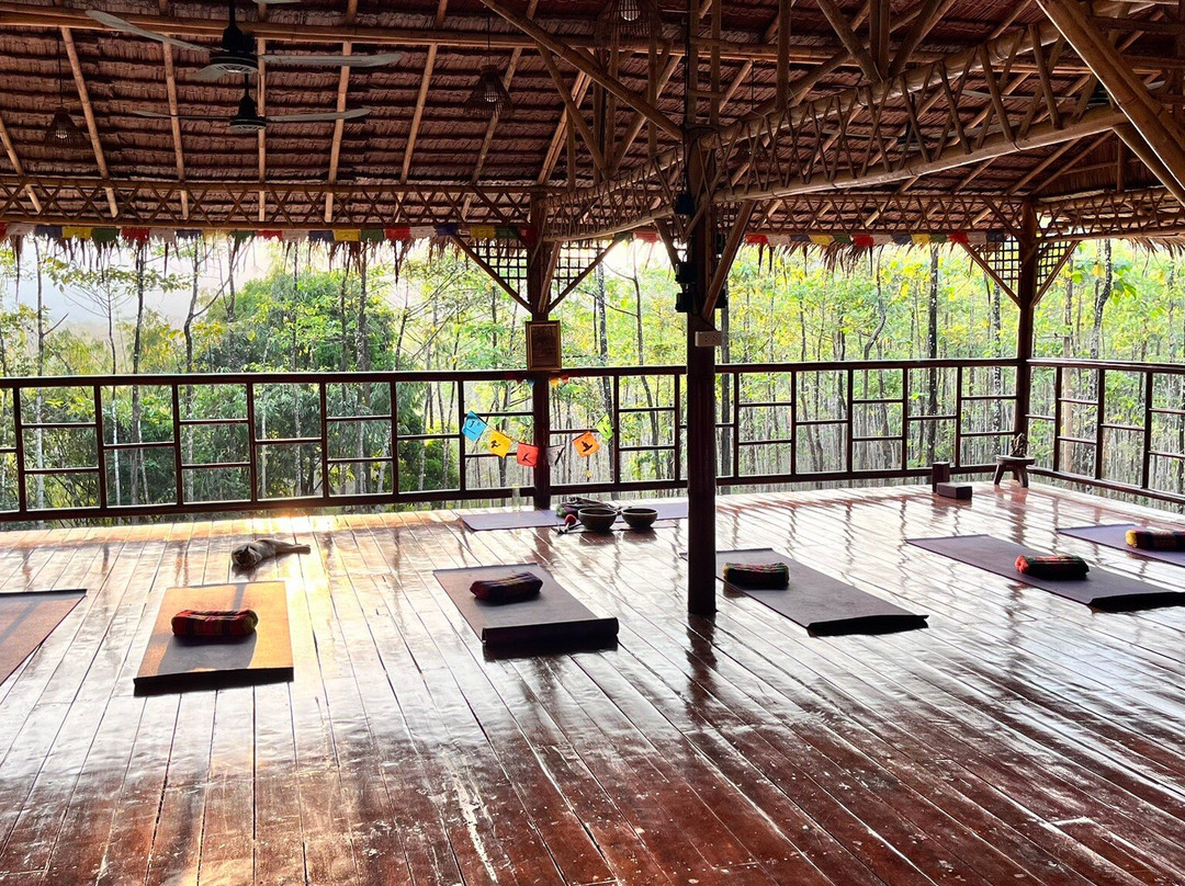 Khaosok Yoga-素叻他尼必去景点