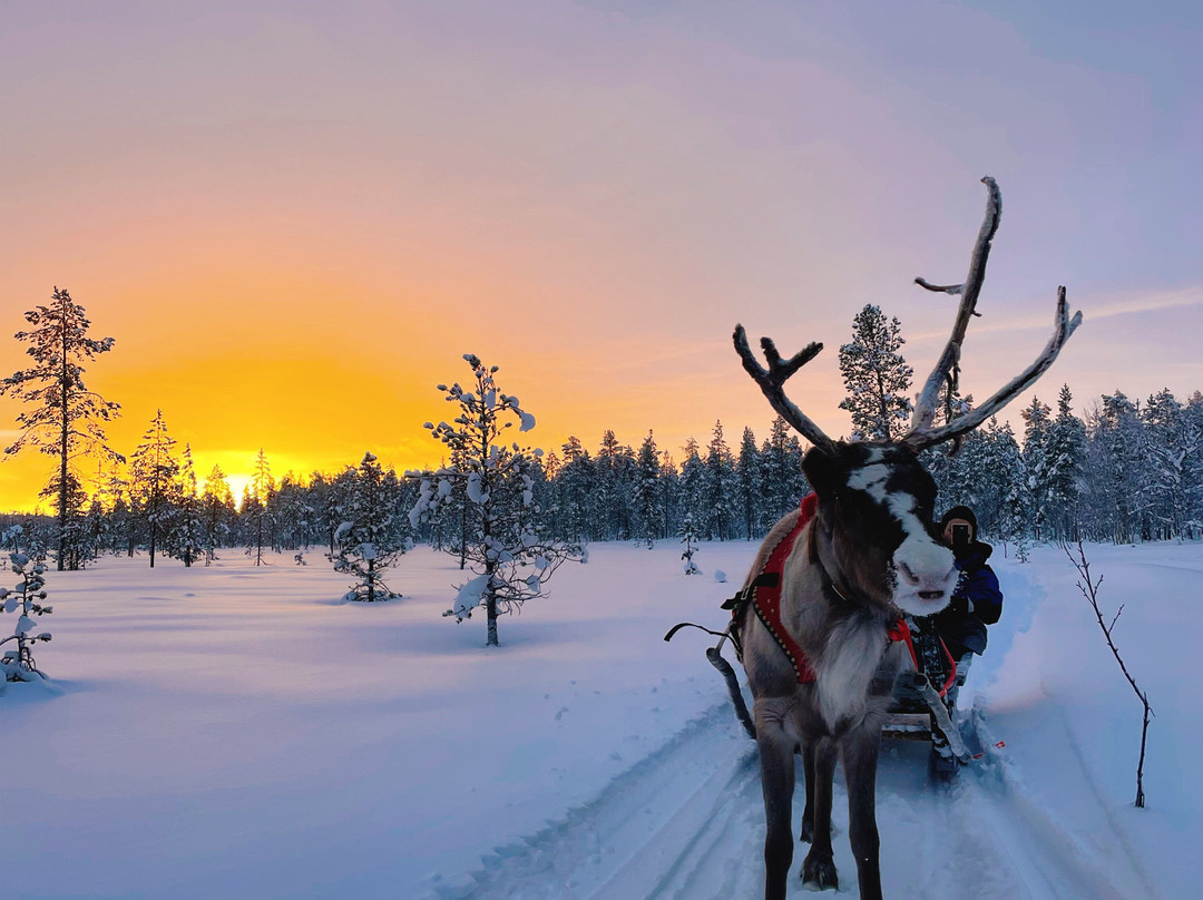 White Adventure-Muonio必去景点