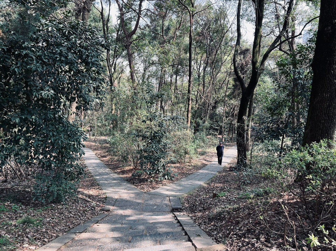 烈士公园景点图片