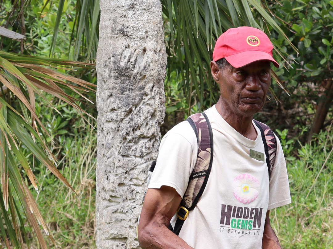 Hidden Gems of Bermuda Ltd.-Sandys Parish必去景点