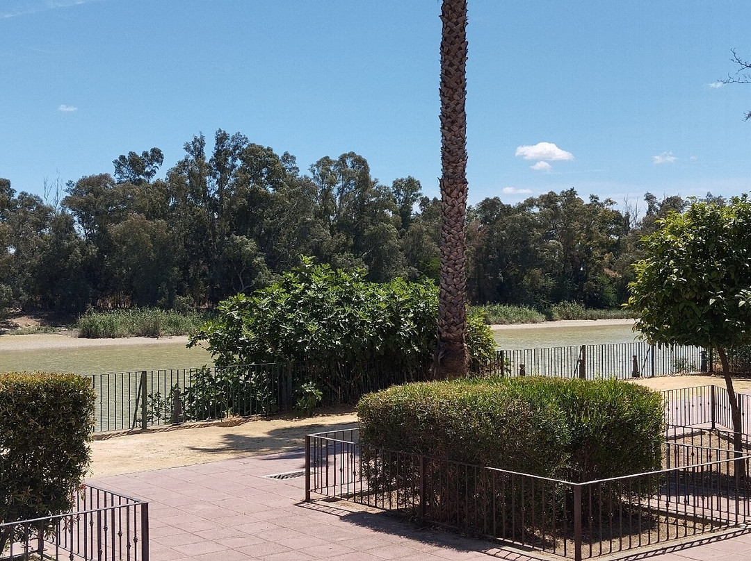 Puerto Gelves-Gelves必去景点