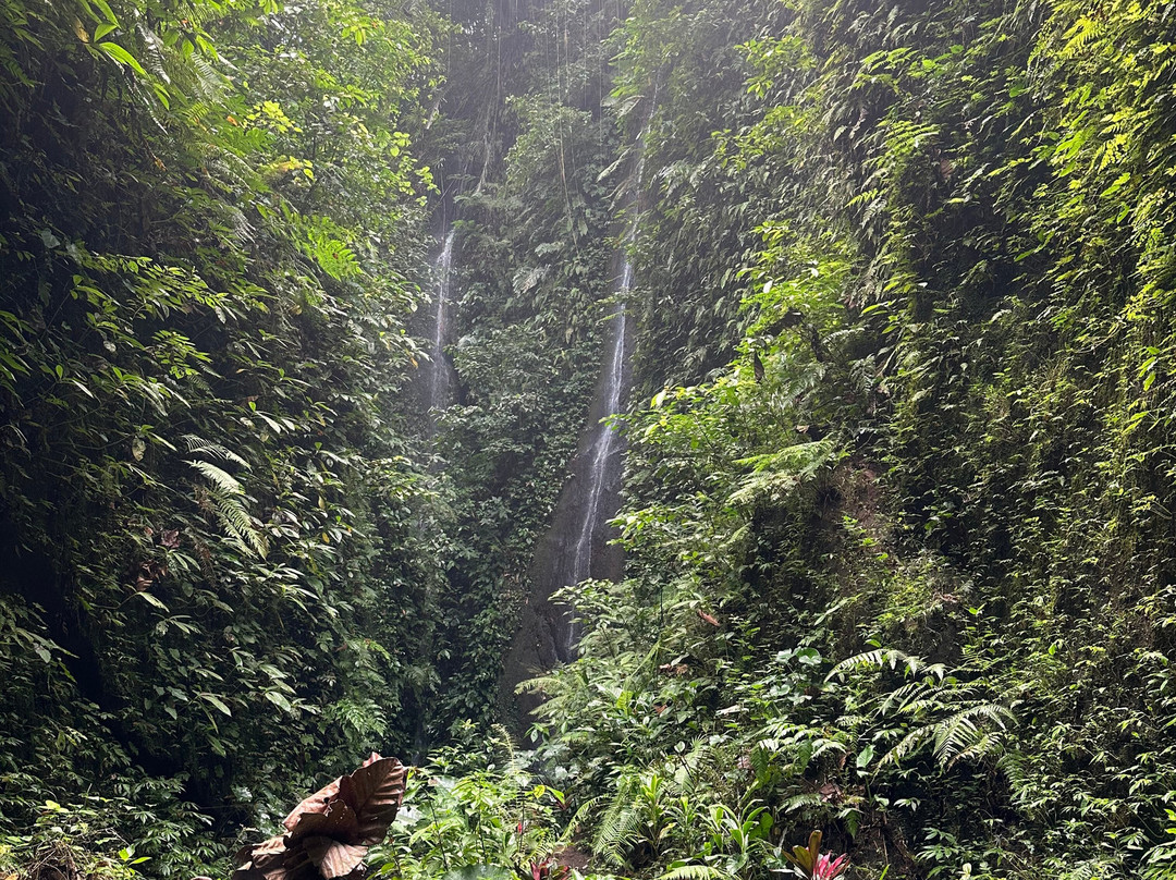 Aan Secret Waterfall景点图片