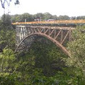 KylerCA