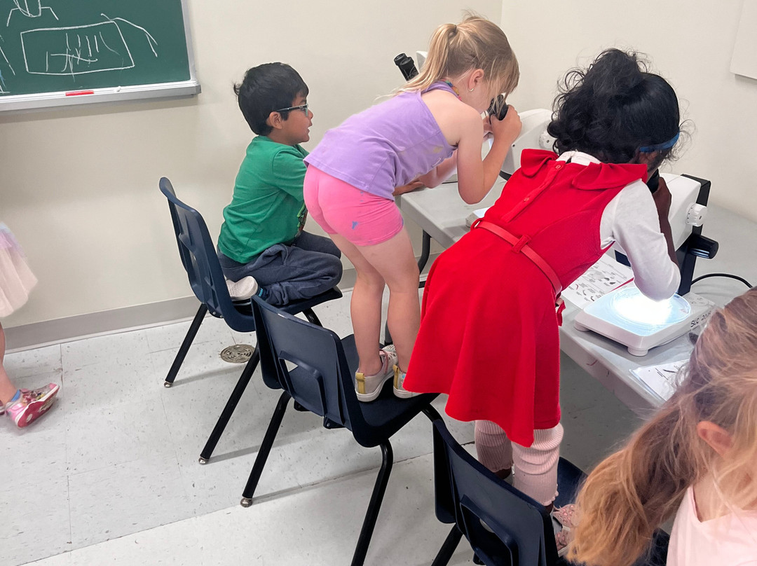 Rush Hour Escapes Cornwall-康沃尔必去景点