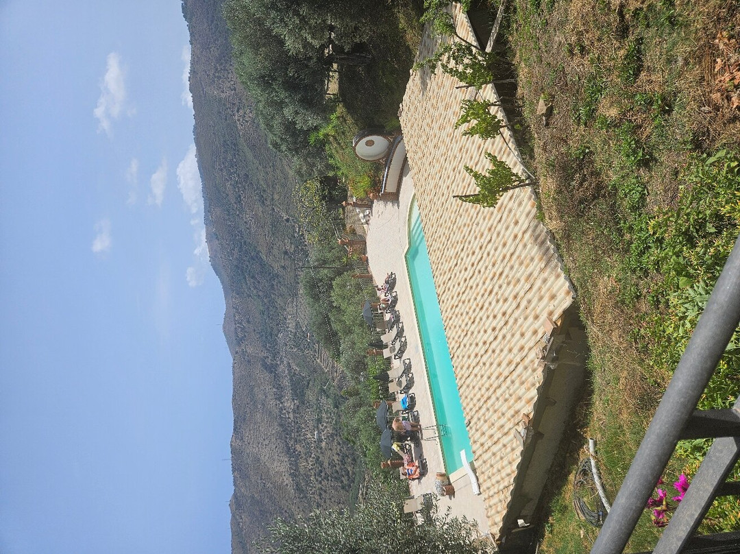 Agriturismo L'Uliveto主图