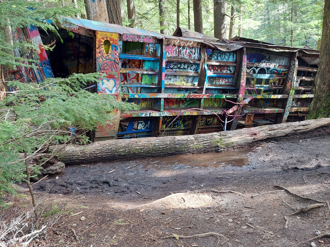 The Whistler Train Wreck Trail-惠斯勒必去景点