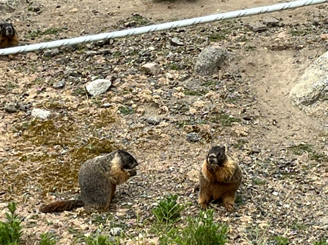 Alpine Rivers Inn主图