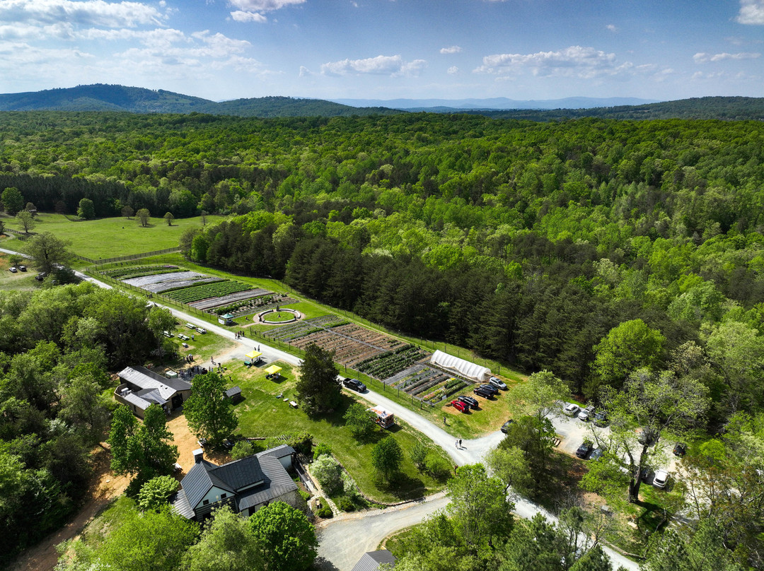 Thistlerock Mead Company