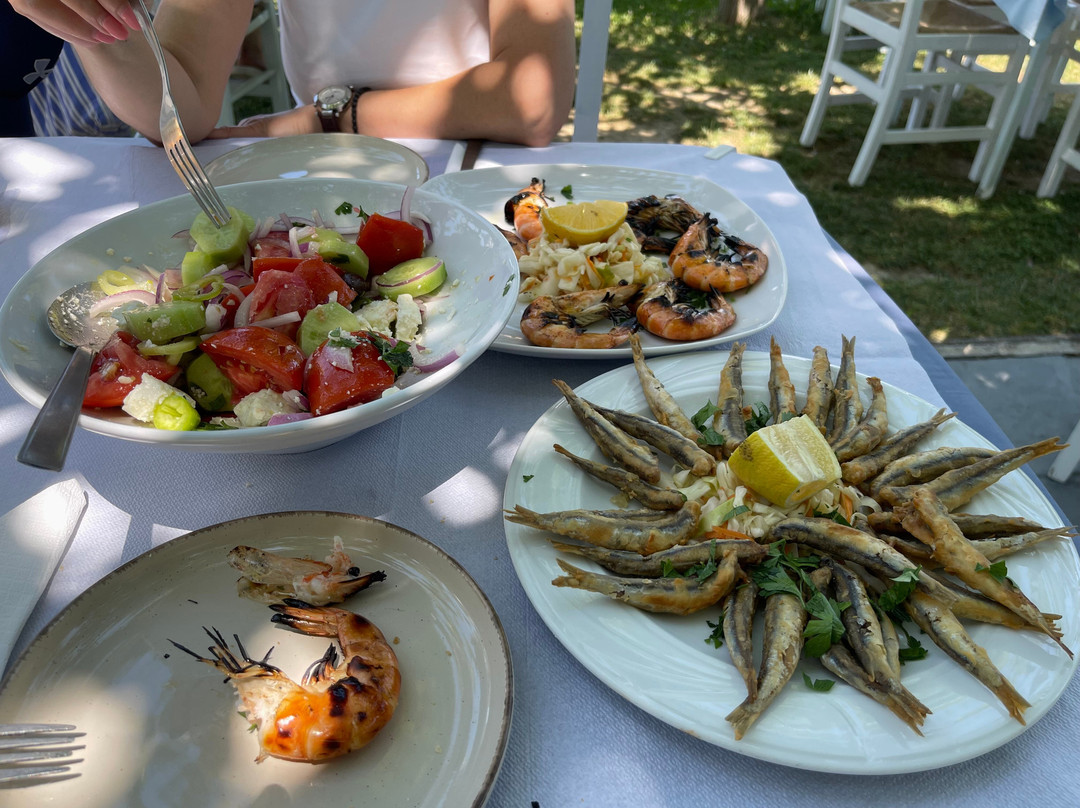 Ταβέρνα ο Στέλιος