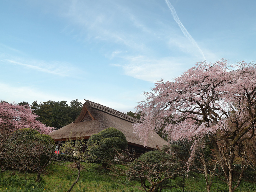 Chichibunomiya Memorial Park景点图片