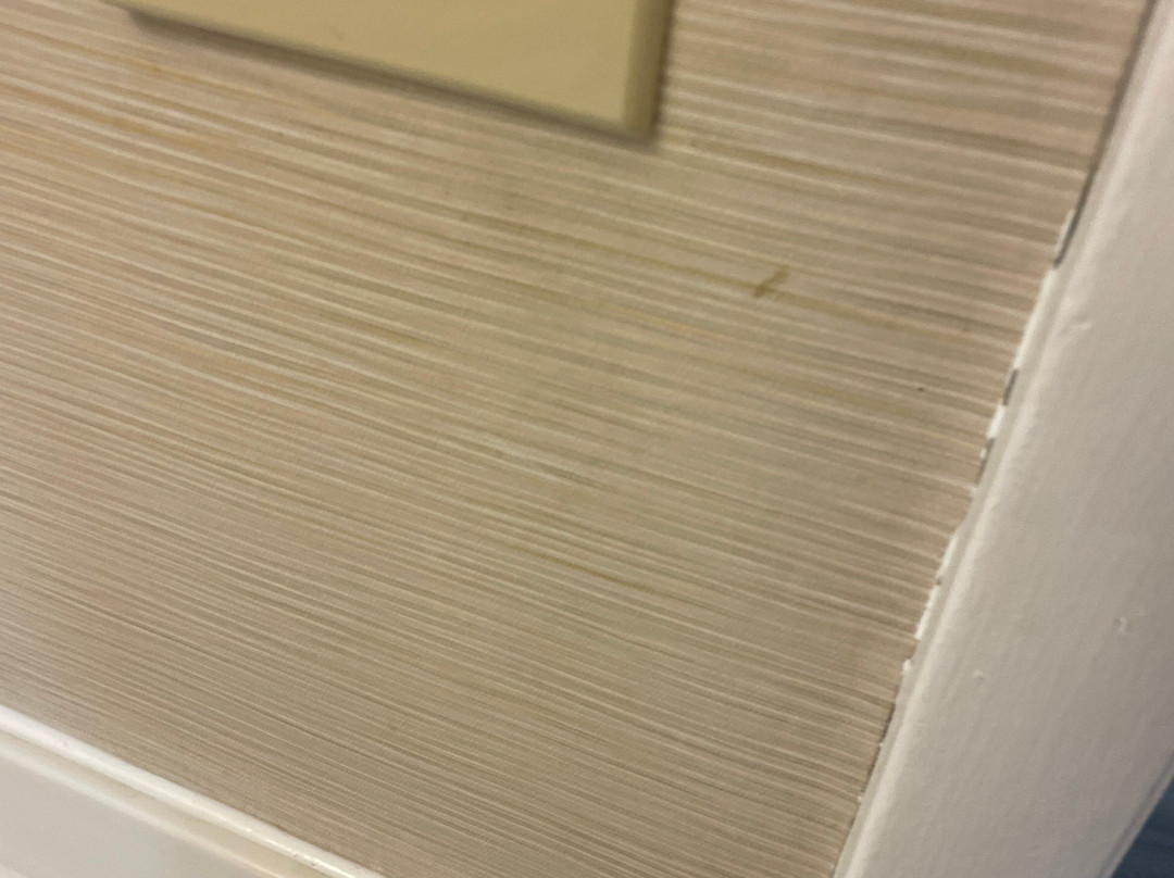 Best Western Leesburg Hotel & Conference Center主图