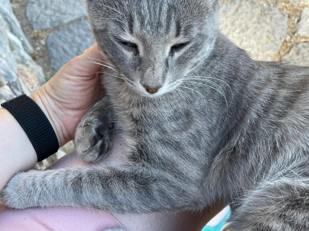 The Castalian Spring-德尔斐必去景点