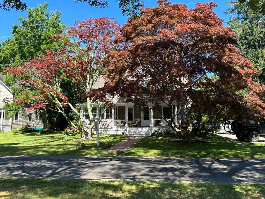 House on Chase Creek主图