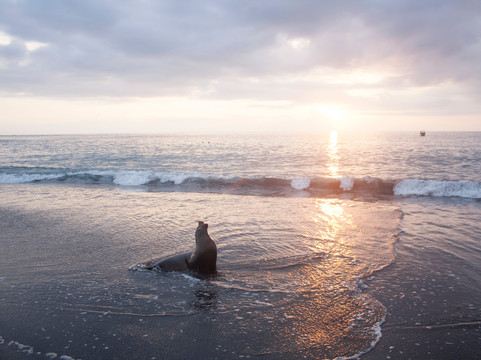 QUINTI-基多必去景点