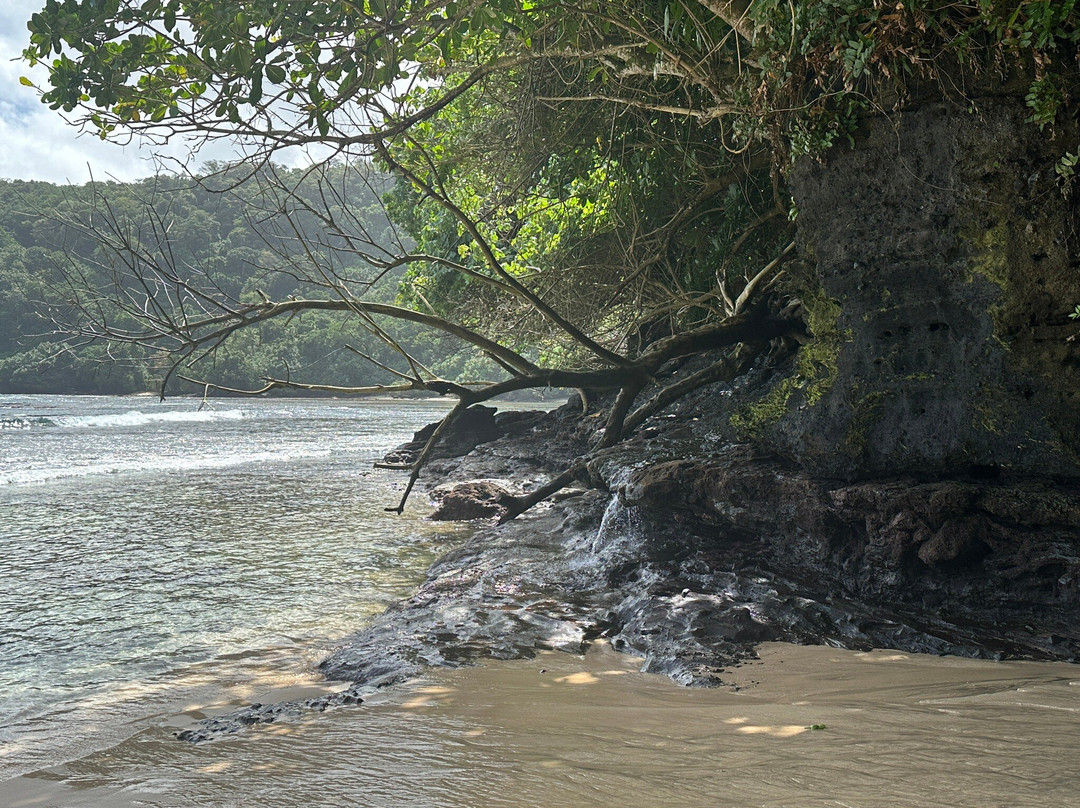 Fagatele Bay Trail景点图片
