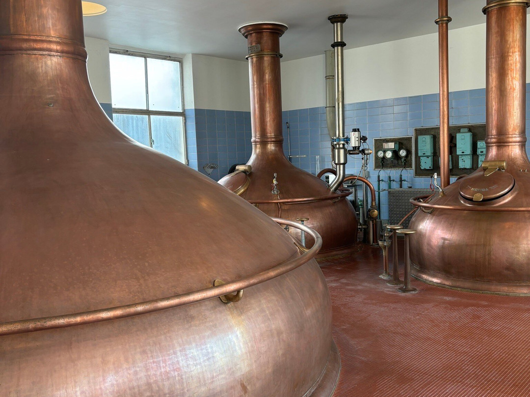 Hotel Brouwerij Het Anker主图