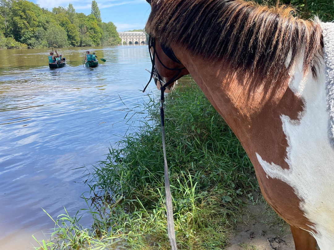 Loire Perspectives-布洛瓦必去景点