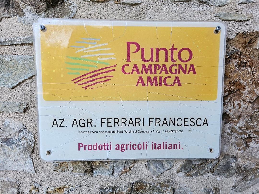 Agriturismo B&B LucchettiFerrari主图