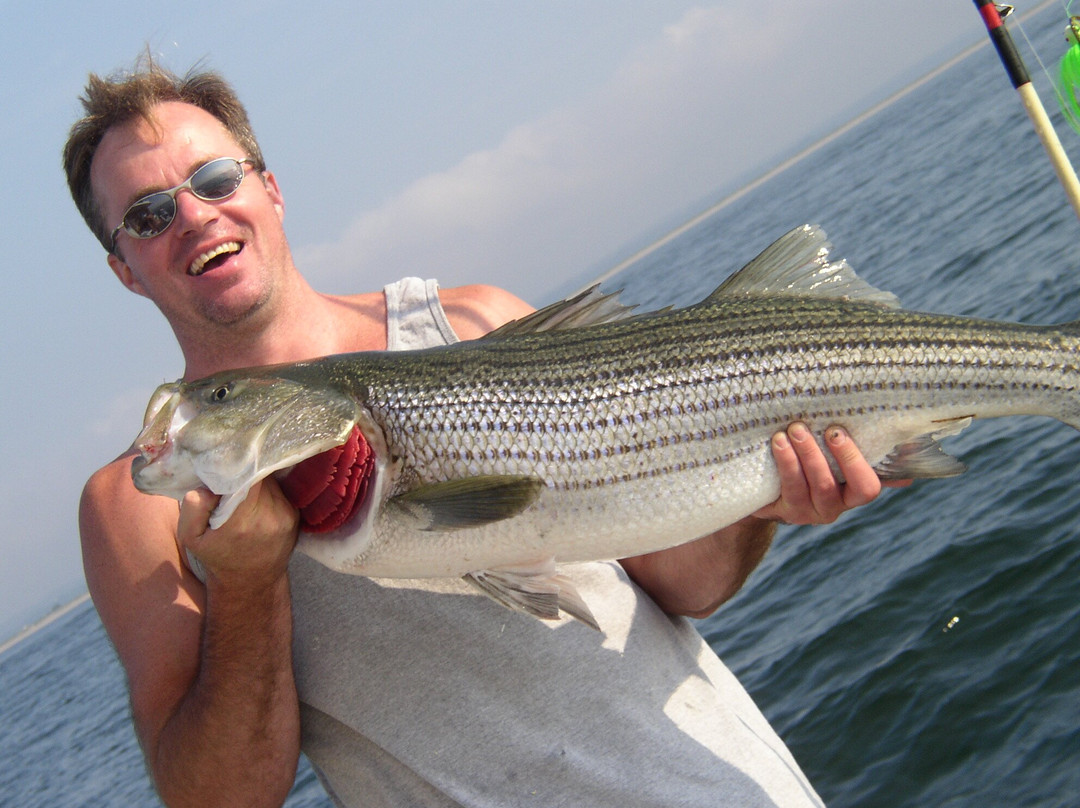 Bonita II Sportfishing Charters-守望山必去景点
