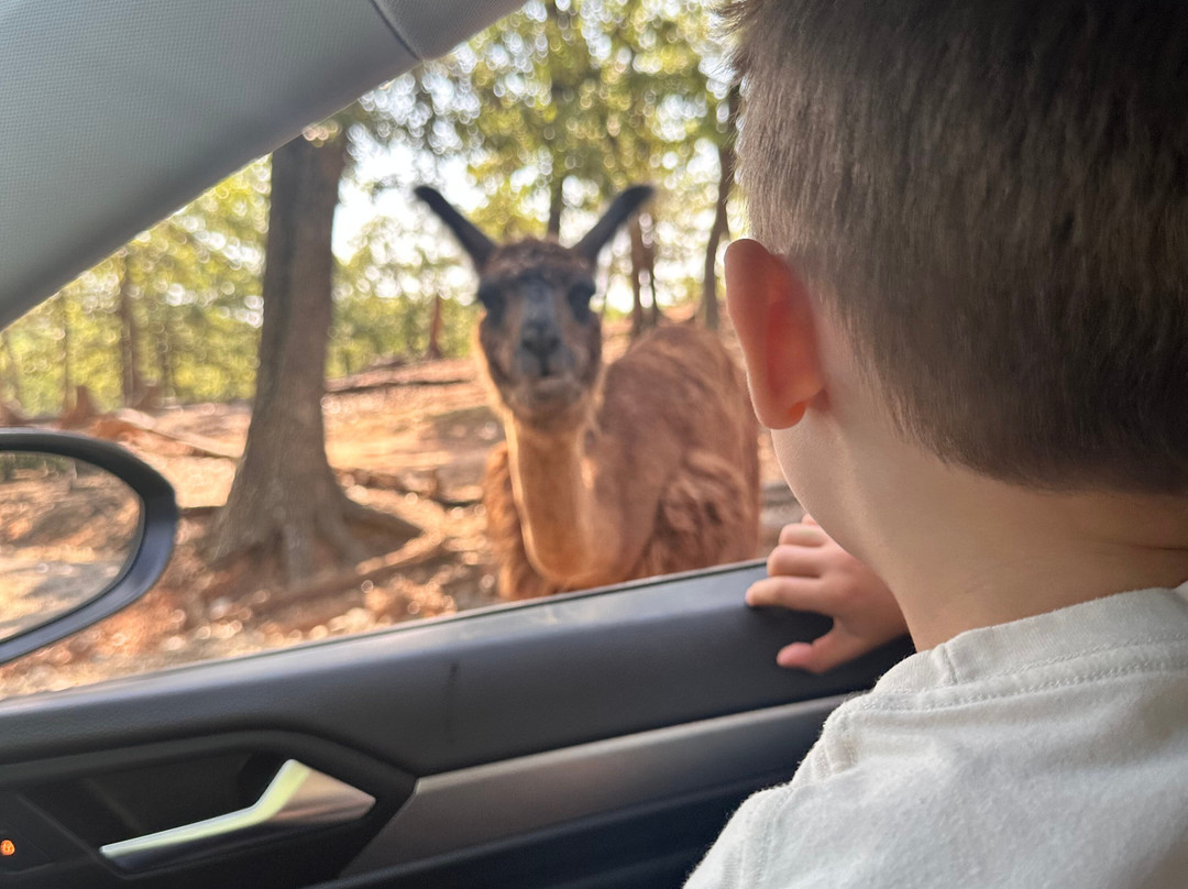 Arbuckle Wilderness-Davis必去景点