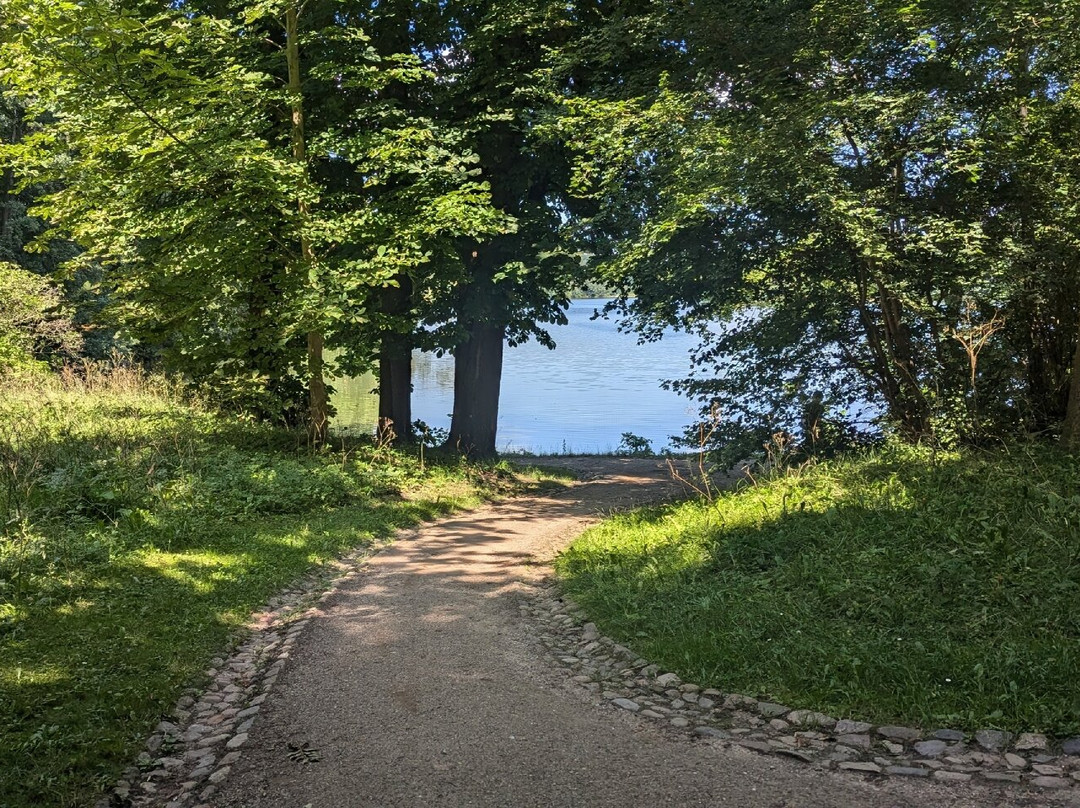 Eutiner Schlossgarten景点图片