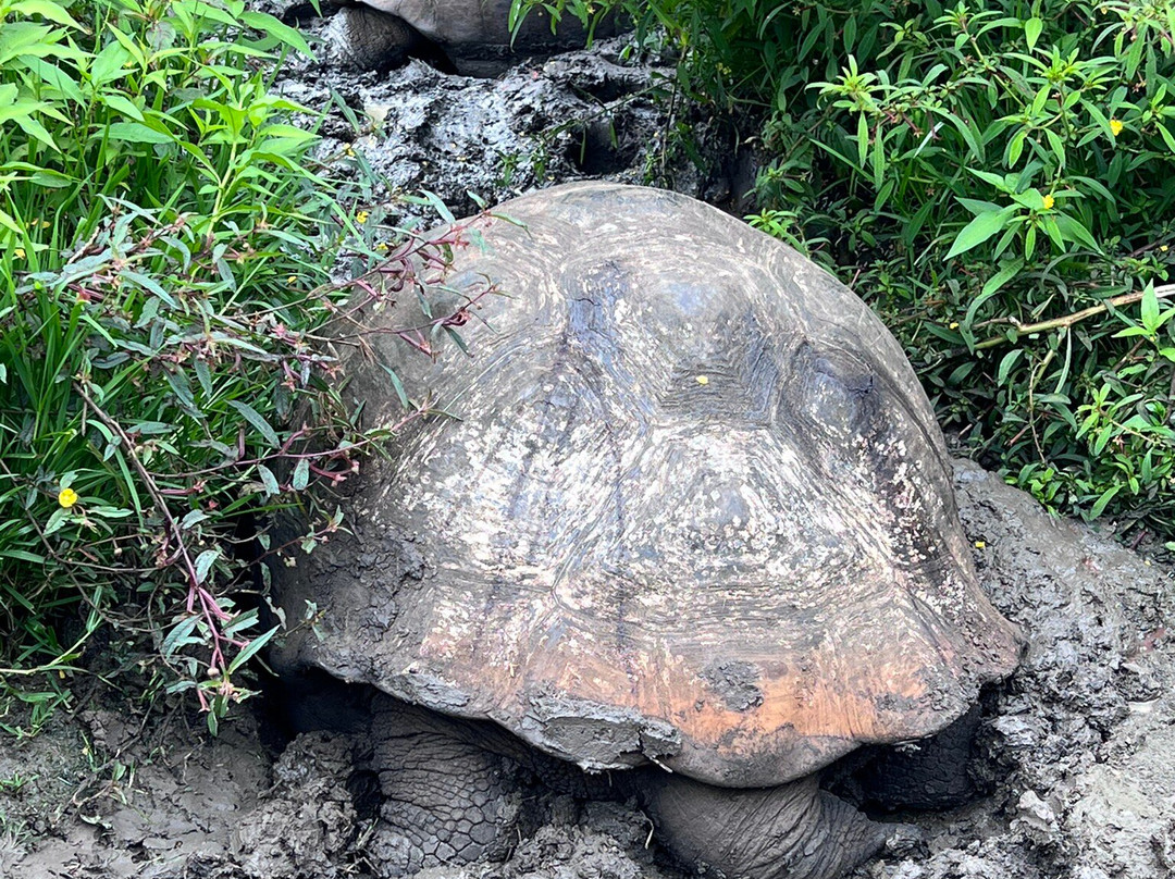 Reserva Galápagos Frontier景点图片