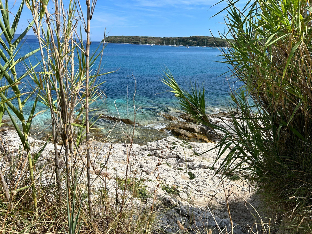 Susak Island景点图片
