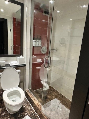 多伦多凯悦酒店-浴室