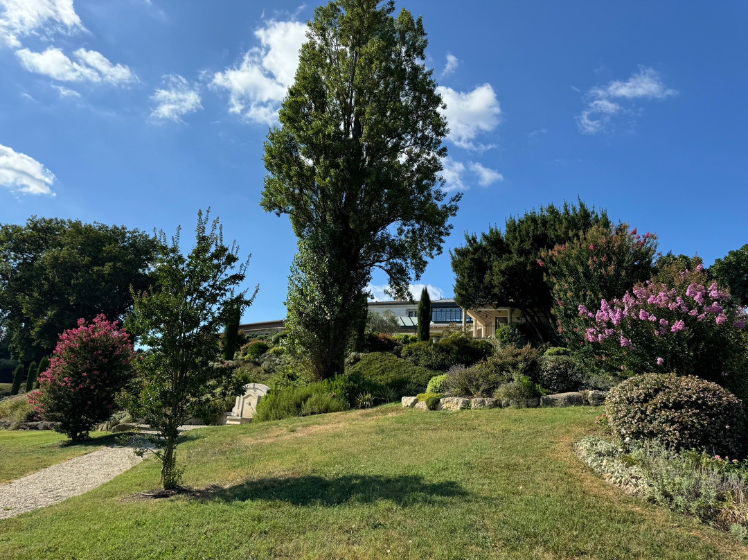 皮埃尔玫瑰住宿加早餐旅馆主图