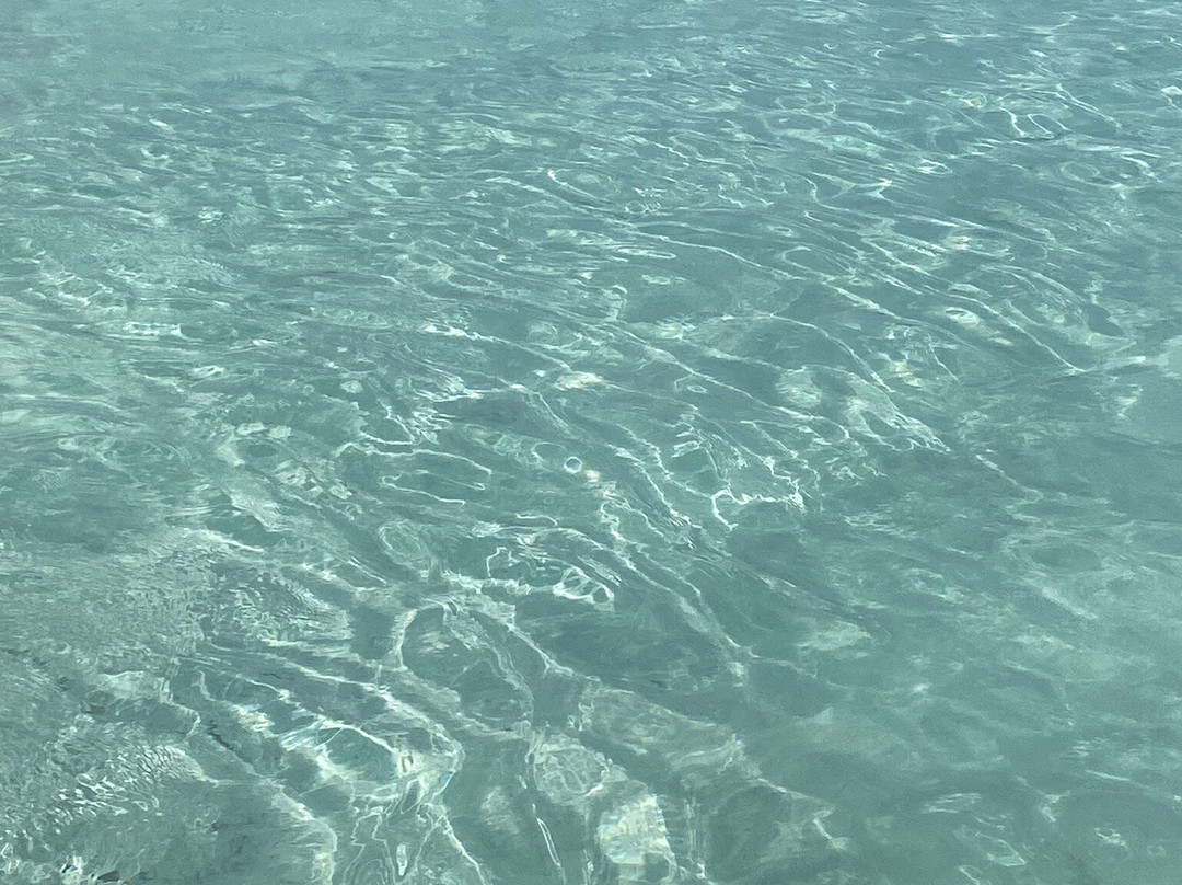 Plage du Petit Sperone景点图片