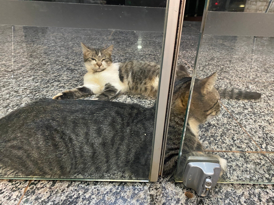 Hotel Golden View主图