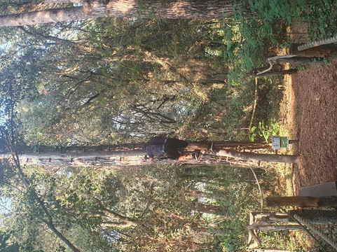 Costa Brava Parc Aventura-普拉特哈达罗必去景点