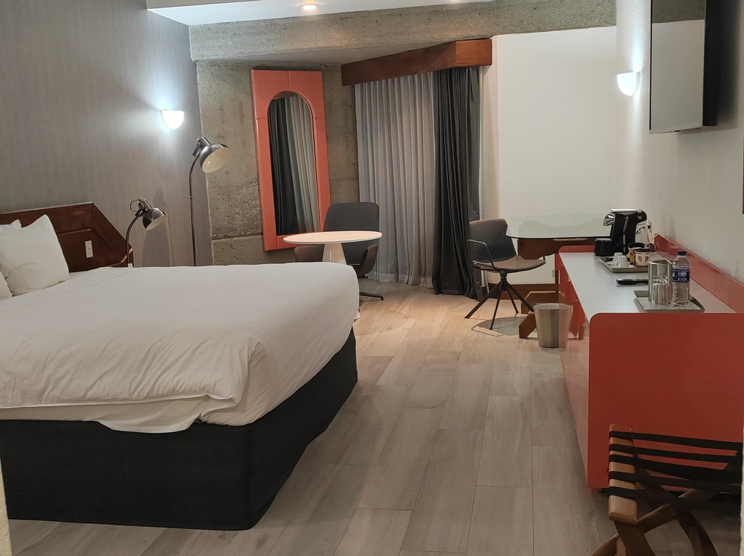 哥斯达黎加圣何塞丽笙酒店主图