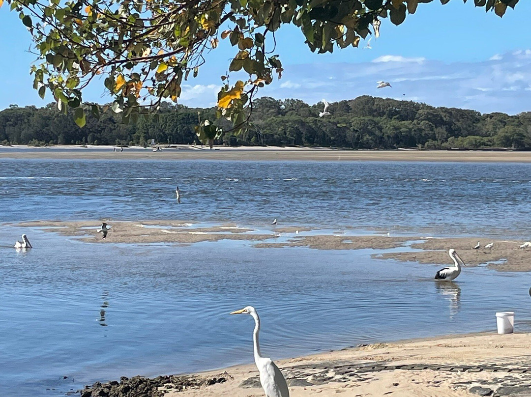 Ecotekk Electric Bikes Noosa-Tewantin必去景点