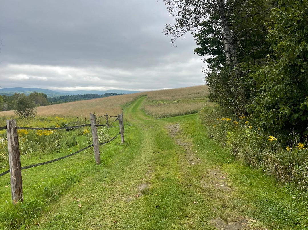 Inn at Mountain View Farm主图