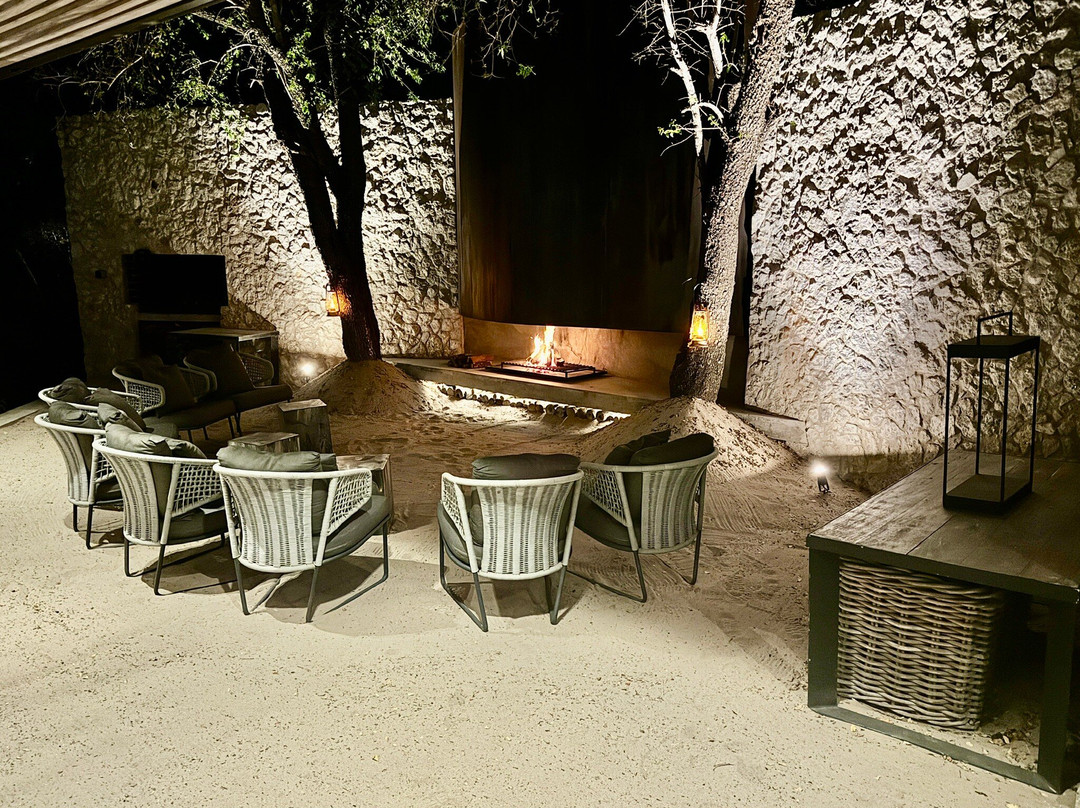 Cheetah Plains主图