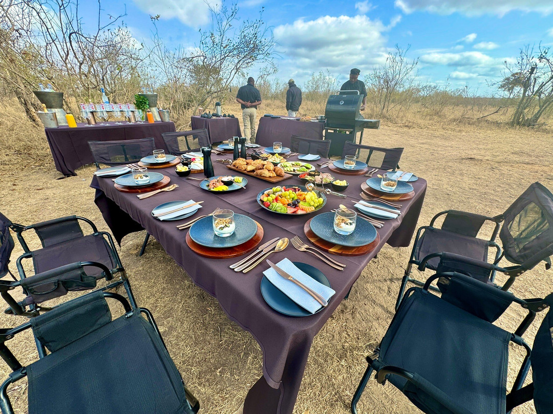 Cheetah Plains主图