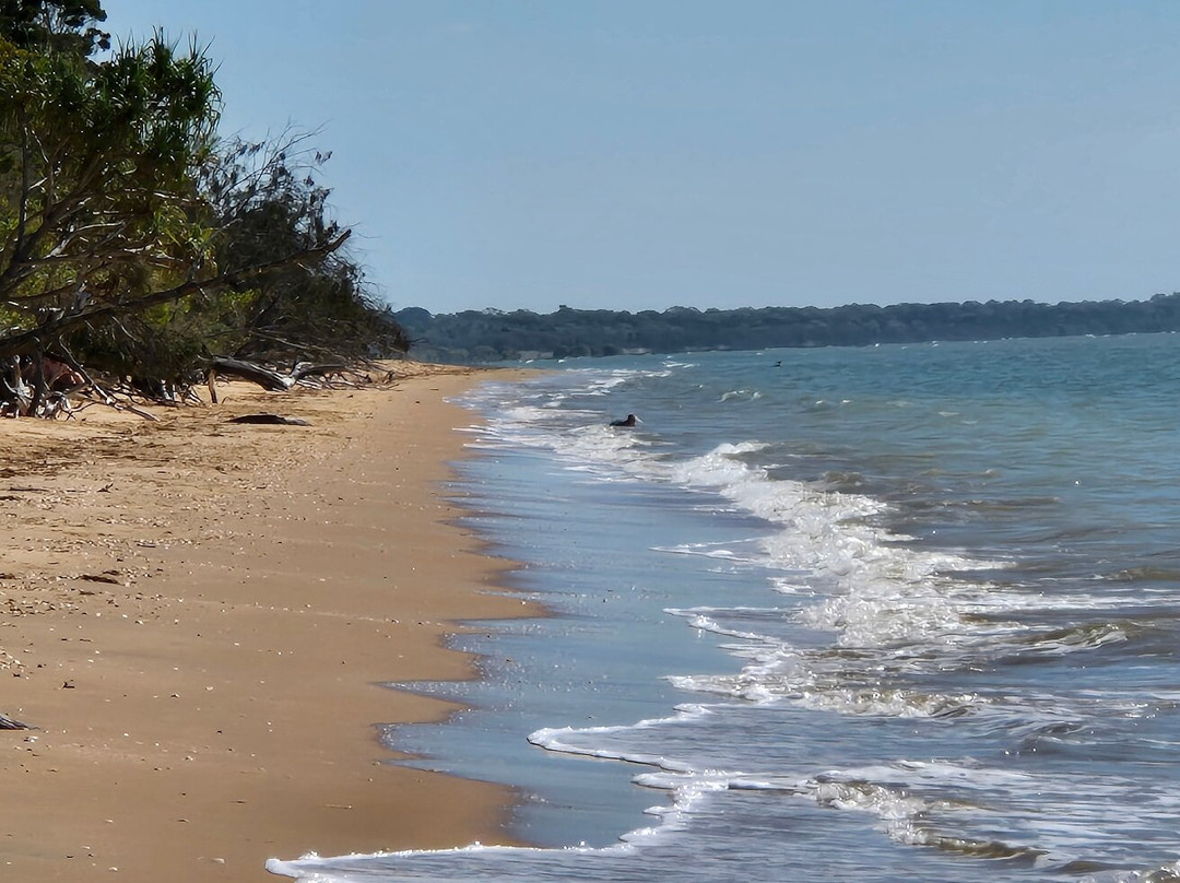 Dundowran Beach景点图片