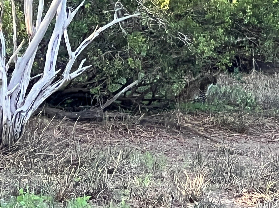 Yala Tusker Safari Tours-蒂瑟默哈拉默必去景点